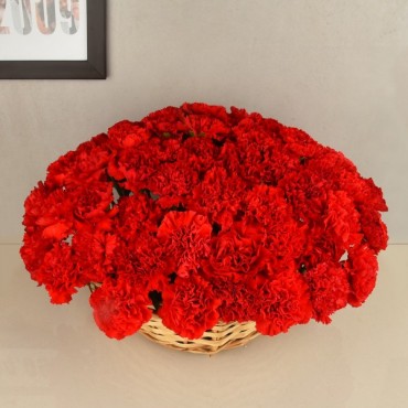 Love of Carnations 100 Red Carnations